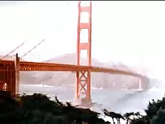 Americký vinobraní