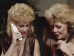 Chci vědět více o pussys