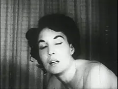 Jeptiška zdivočely